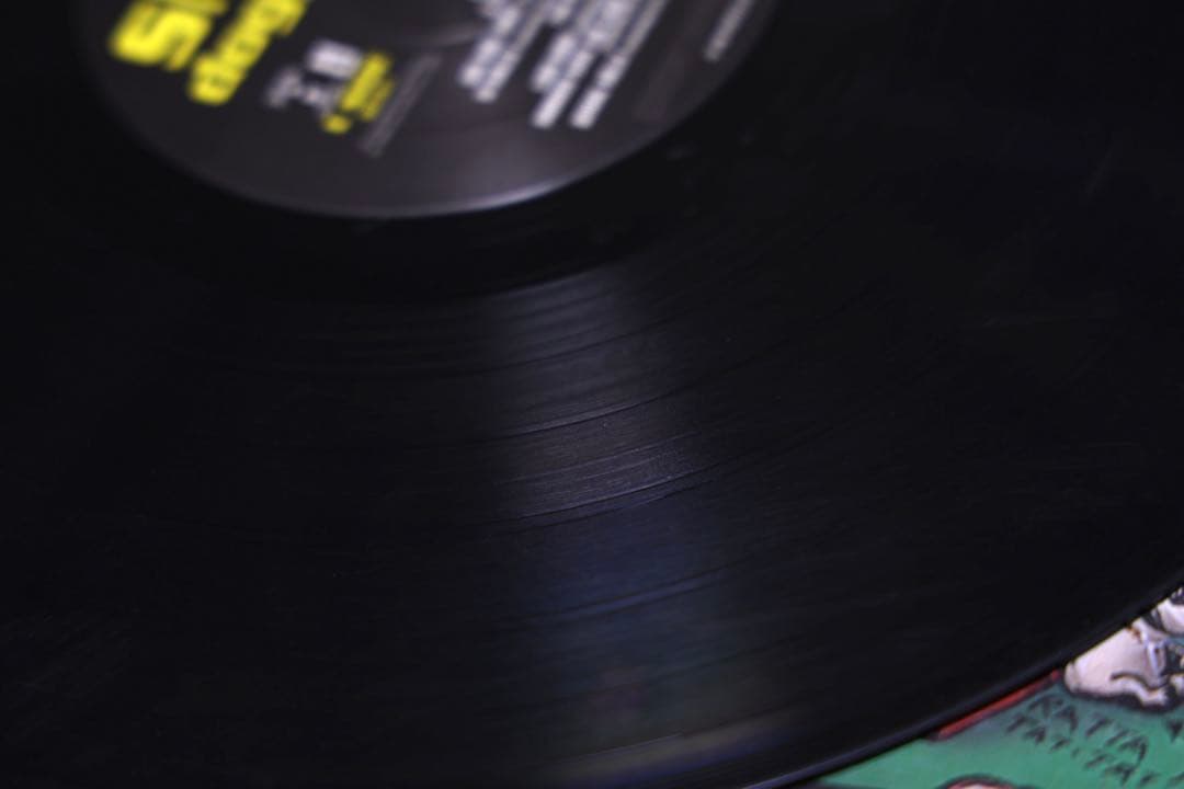 神龍 スヌープドギードッグ : Doggystyle 12” LPレコード