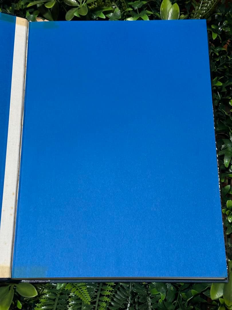 日本産魚類大図鑑 檜山義夫 安田富士郎 講談社 1971年初版 図版多数 外箱付