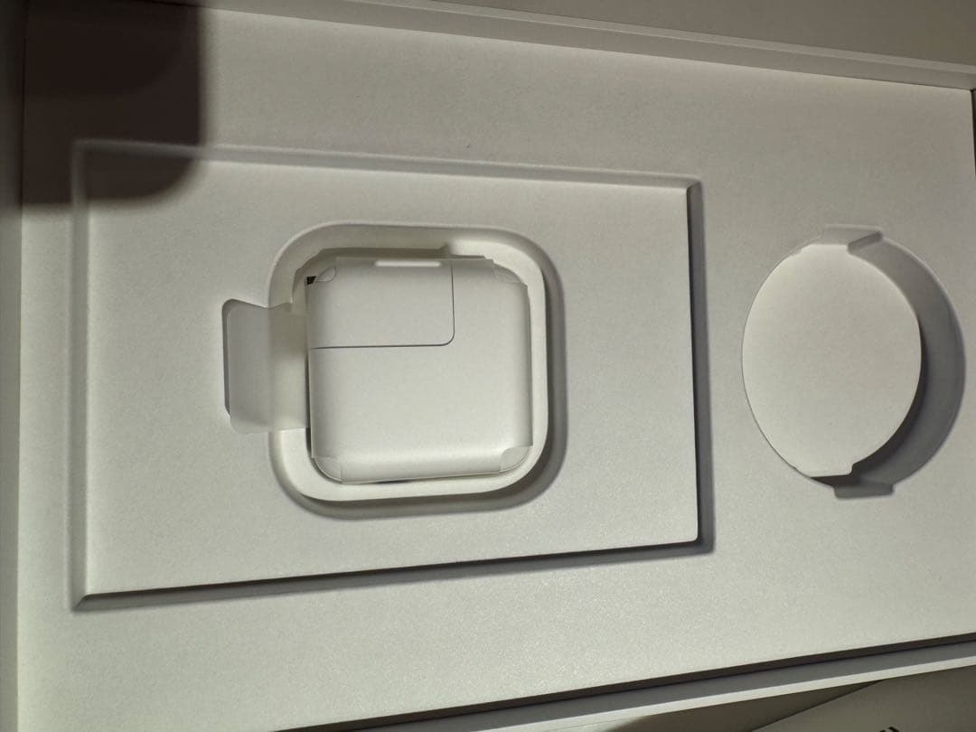 iPad mini (第5世代) 64GB Wifi + Cellular