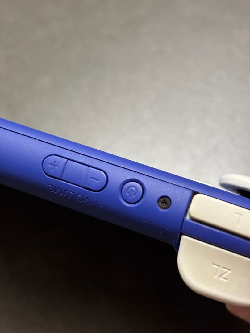 【ジャンク】Nintendo Switch Lite HDH-001 カバー付き