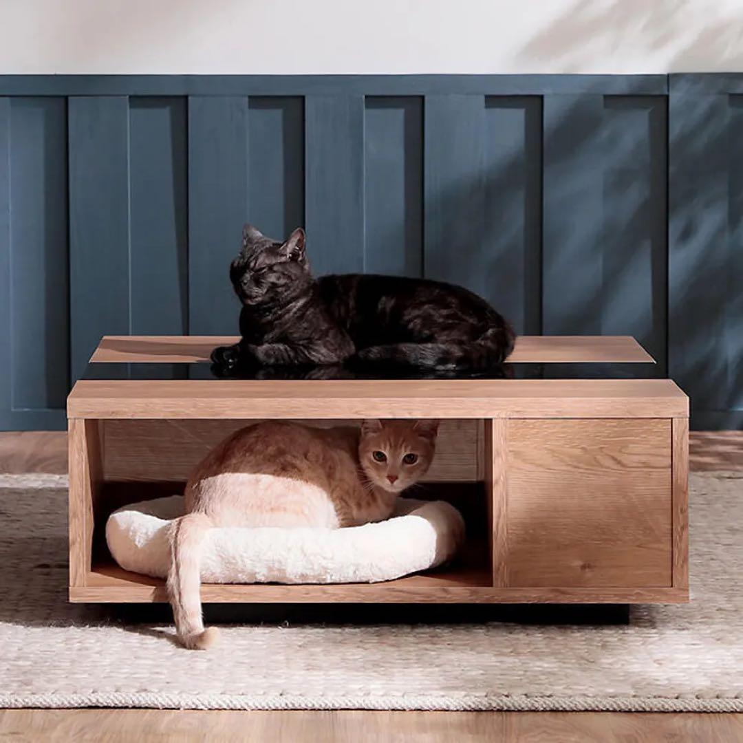 LOWYA 猫 テーブル ロウヤ ローヤ ローテーブル 引き取りも可 2月まで