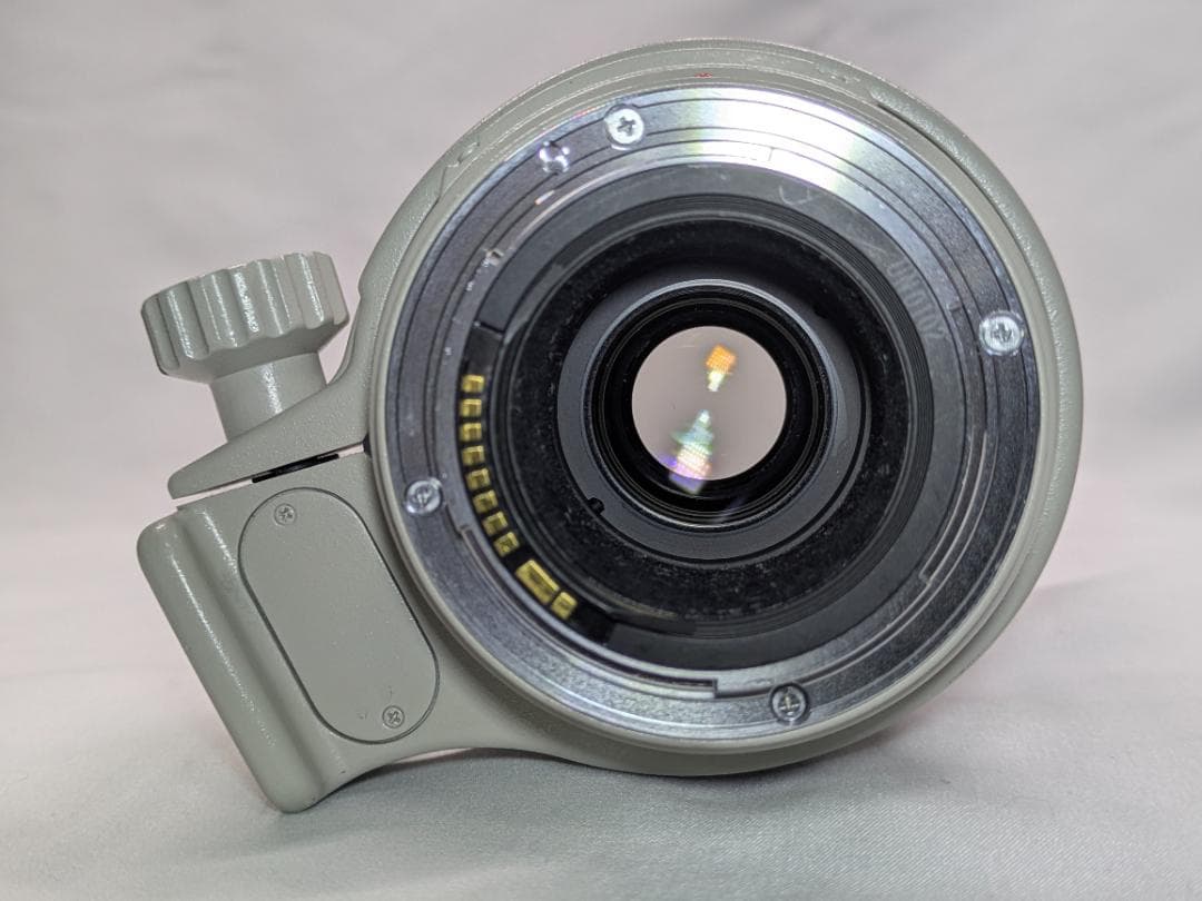 レンズ(ズーム) Canon EF 100-400mm 4.5-5.6 L IS USM #311