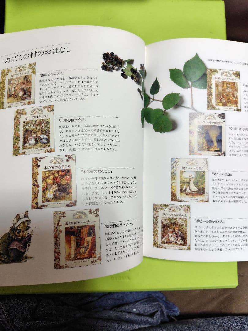 のばらの村をたずねて ジル・バークレムの世界　1997年9月15日　初版本