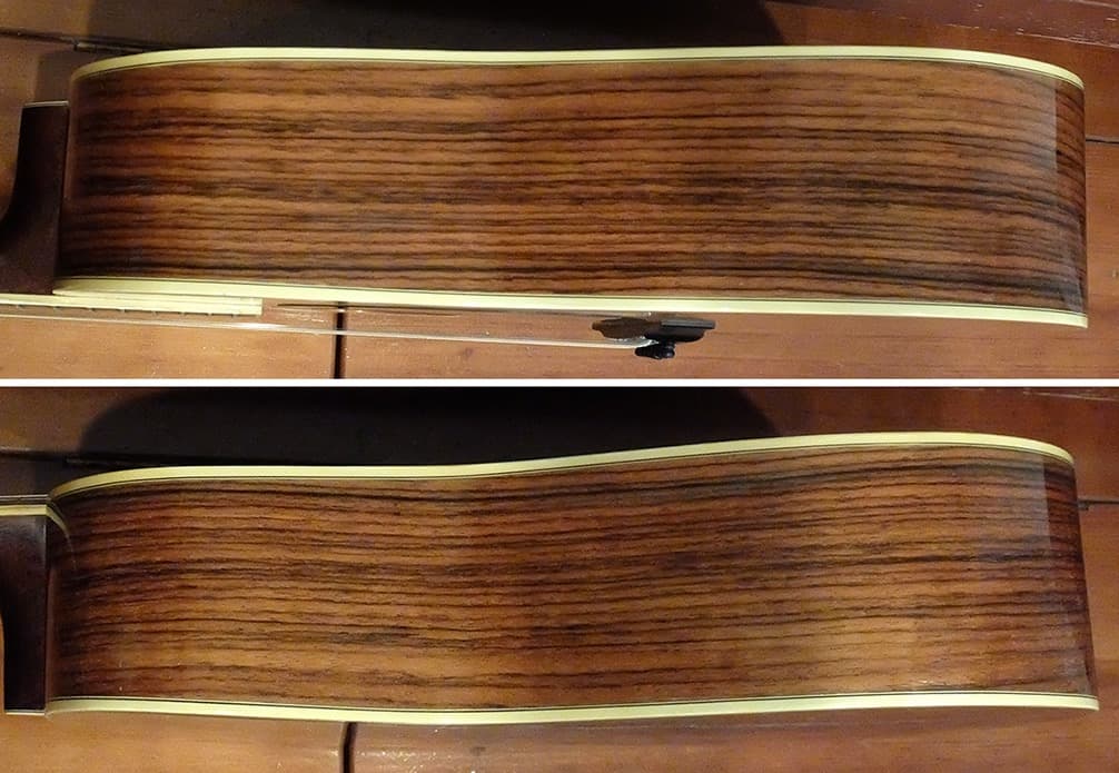 Morales LYRE BIRD M-50 セミハードケース付き