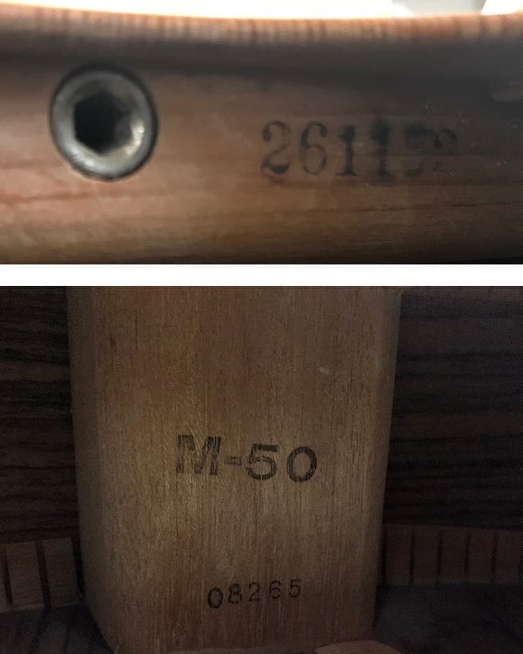 Morales LYRE BIRD M-50 セミハードケース付き