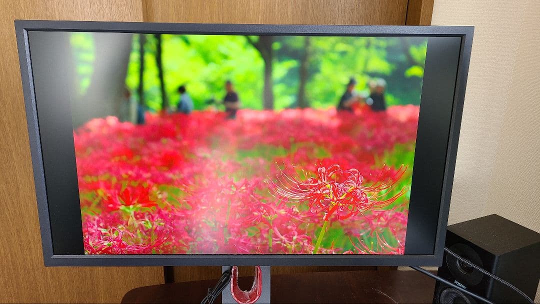 benq zowie xl2546k 中古品