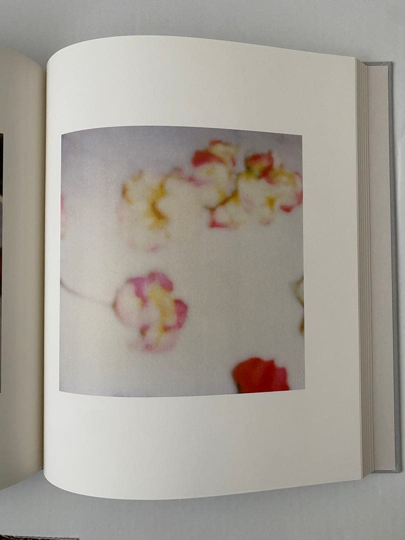 Cy Twombly サイ・トゥオンブリーの写真　変奏のリリシズム