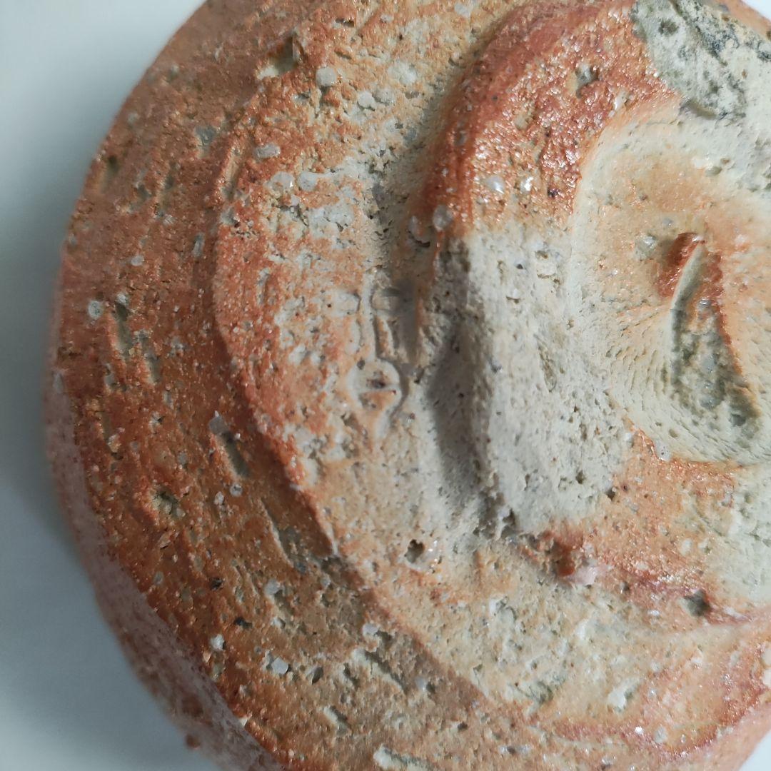 紫香庵水月(杉本貞光)　信楽茶碗