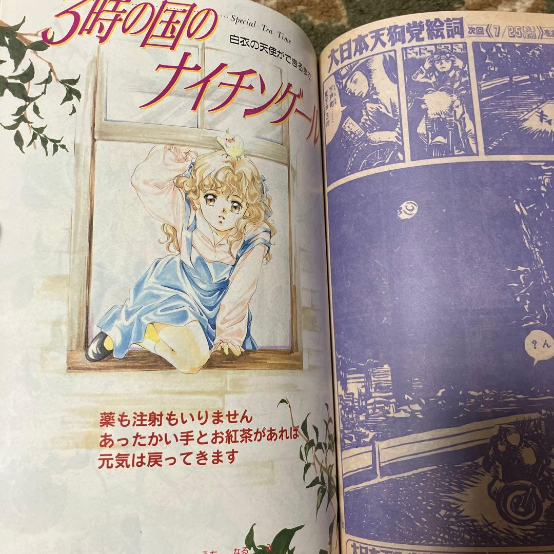 【超良品】月刊アフタヌーン　1995年8月号　激レア本　ああっ女神さまっ