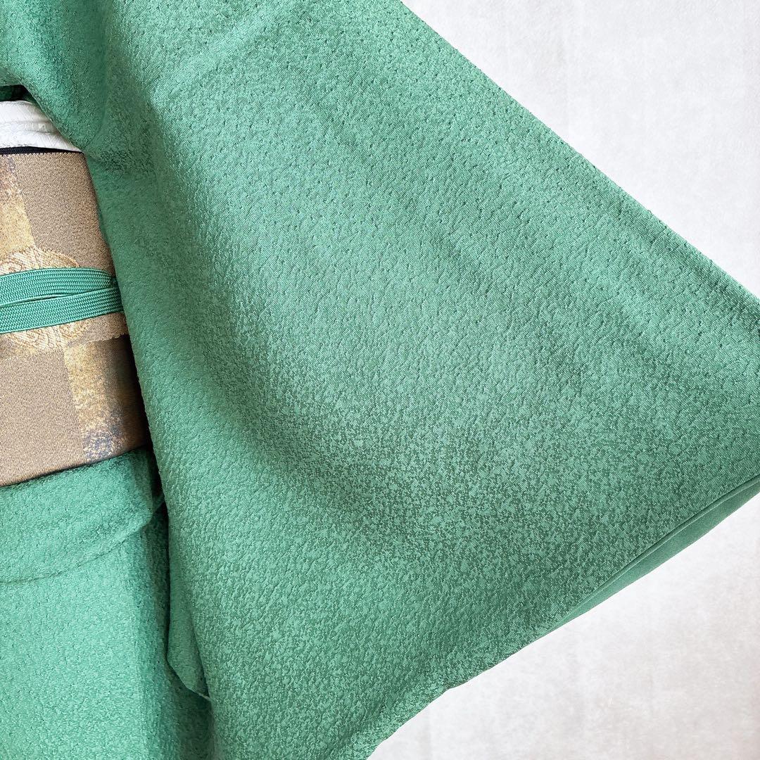 色無地　フルセット　着物　正絹　トールサイズ　緑　卒業式　入学式　N2