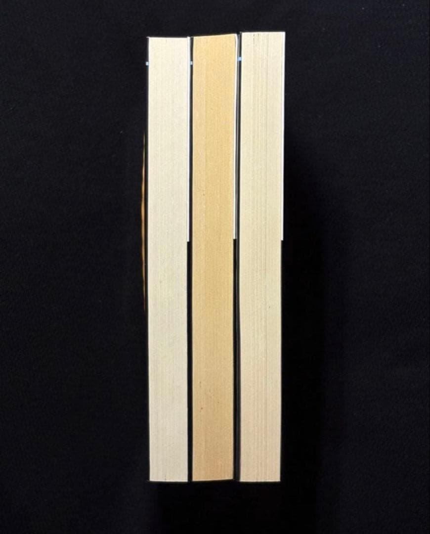 希少【初版】美星狩りシリーズ 綺羅光 　　　※凌辱女子学園と並ぶ傑作シリーズ！