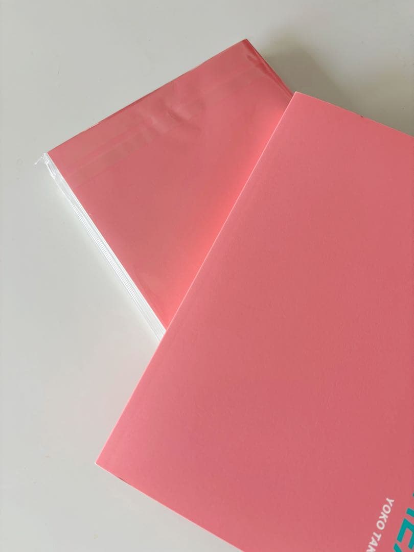 YOKO TAKAHASHI SAN FRANCISCO DREAM 写真集