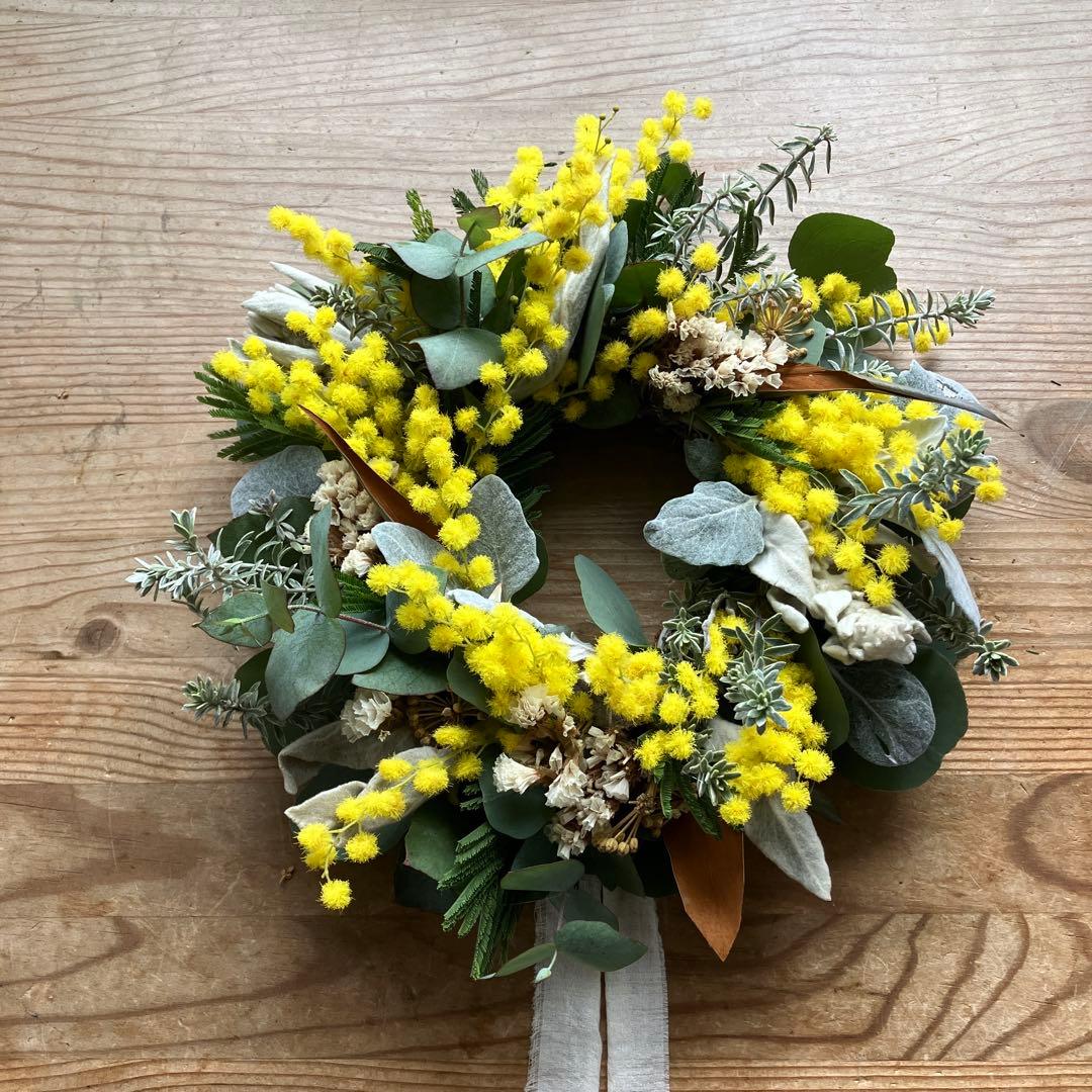 ミランドール産ミモザとラムズイヤーのリース　グレビレア　ユーカリ　スターチス