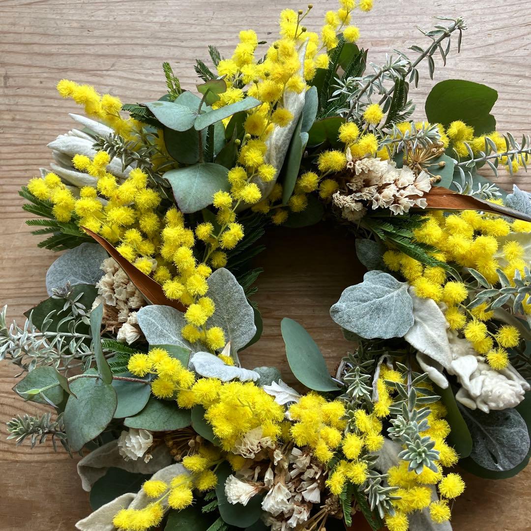 ミランドール産ミモザとラムズイヤーのリース　グレビレア　ユーカリ　スターチス