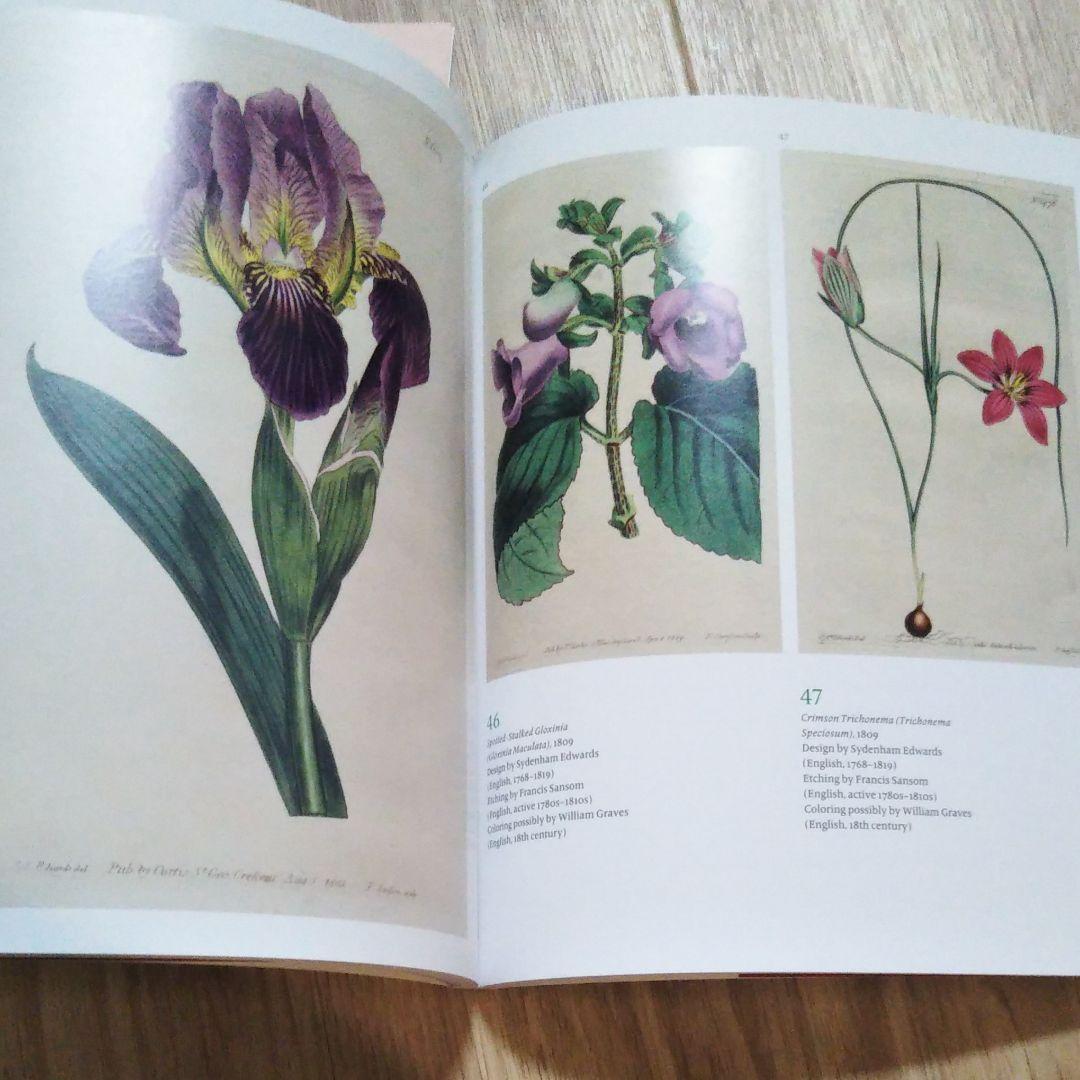 図録『永遠に花咲く庭　17ー19世紀の西洋植物画』