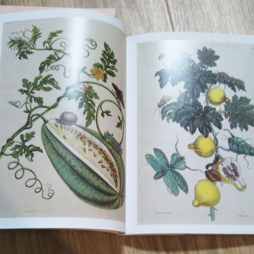 図録『永遠に花咲く庭　17ー19世紀の西洋植物画』