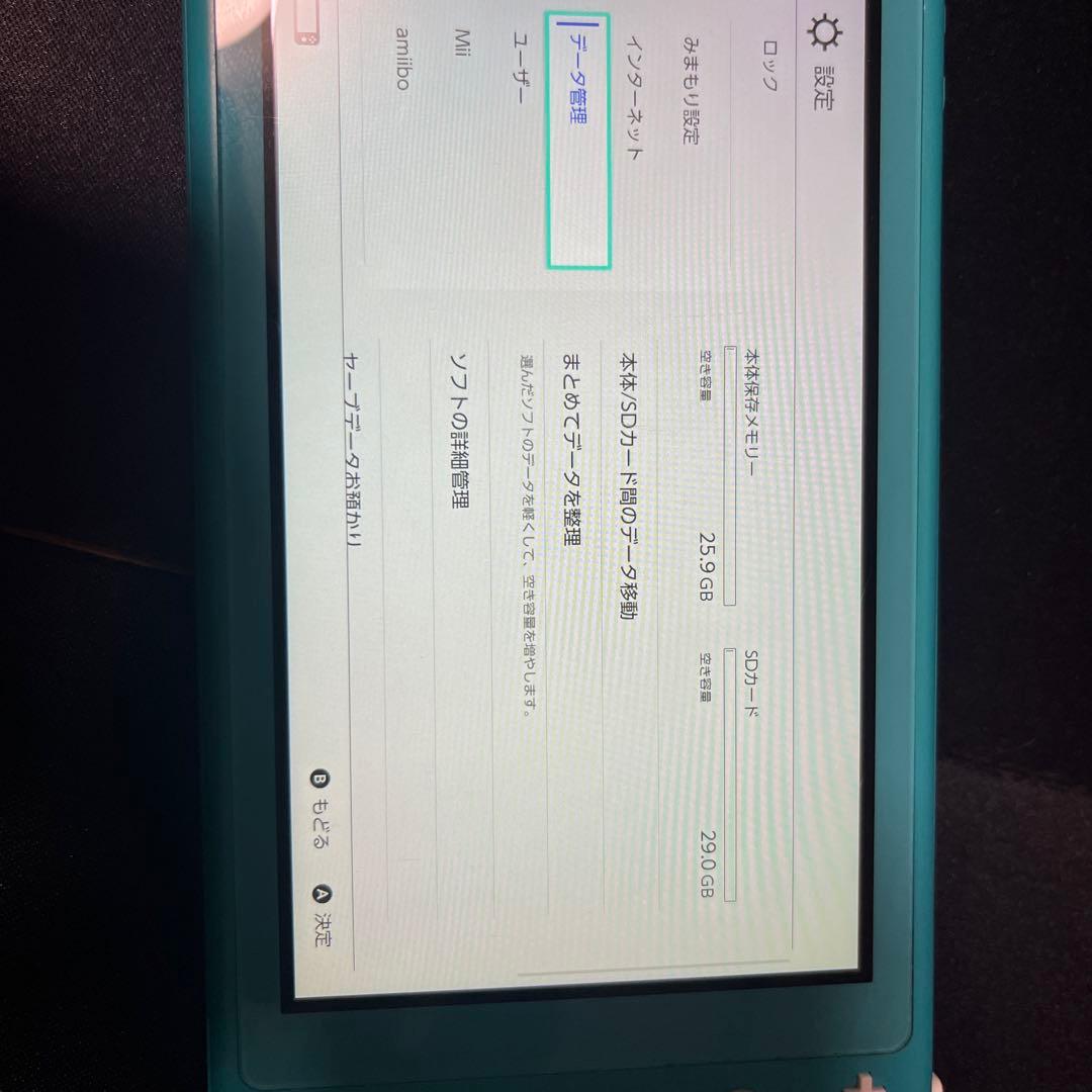 Nintendo Switch Lite ターコイズとSwitchカセット