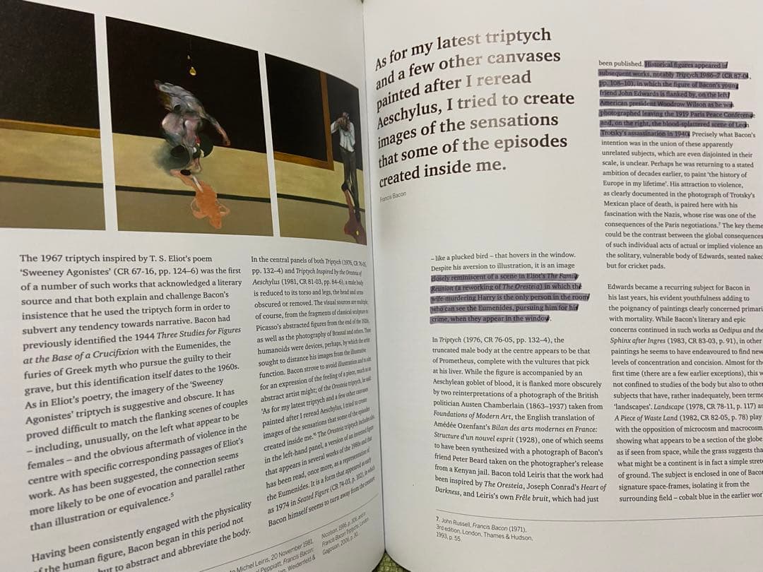 洋書 Francis Bacon Books and Painting