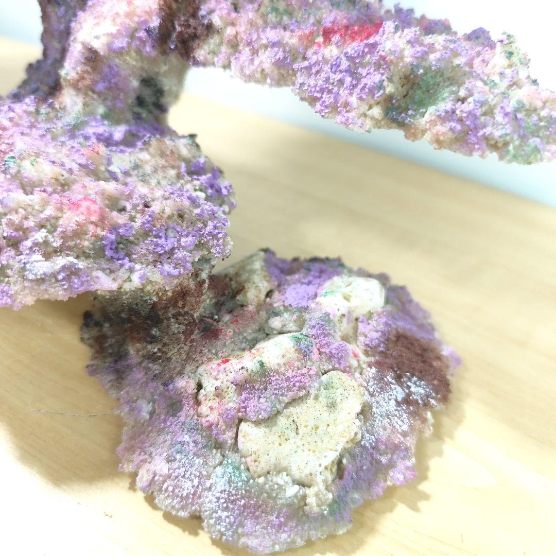 ❖新品アク抜き不要 人工ライブロック 60cm海水水槽用 レプリカ 多孔質安い1