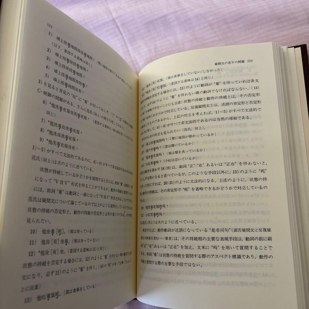 【美品】現代中国語の諸問題　著者:望月八十吉（函付き)