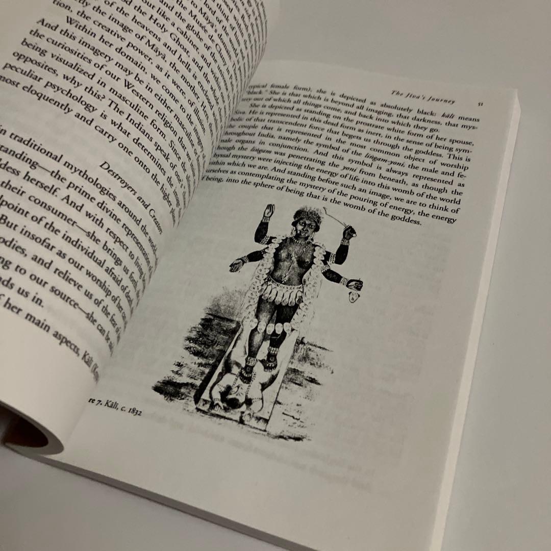 洋書　ジョセフ・キャンベル　MYTHS OF LIGHT