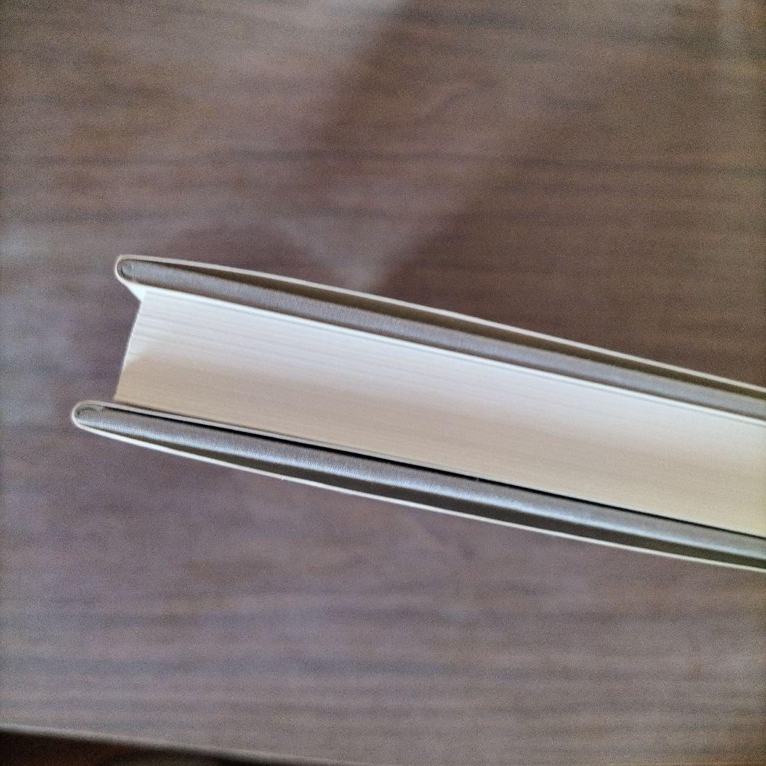 【美品】1983年の初版　エゴン・シーレ画集　27×29×3cm 大型判