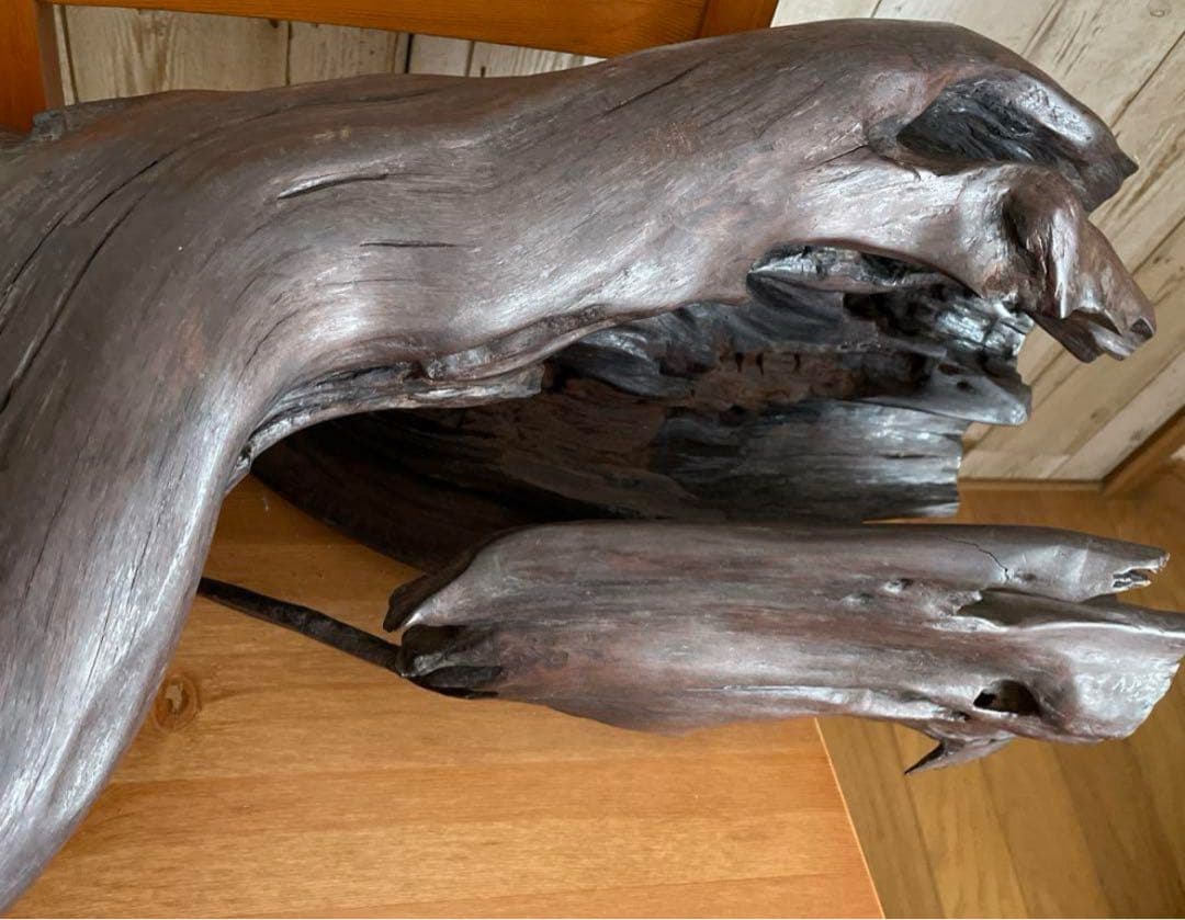 73cm 【大木　天然木　古根　オブジェ】古木　流線形