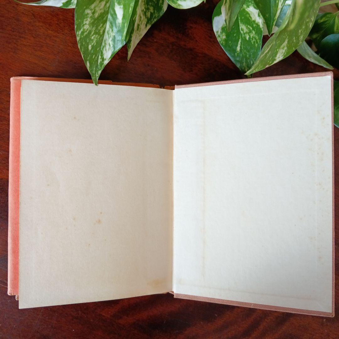 洋書古書　希少　Nerman ネイマン　おやゆび姫アンデルセン　ヴィンテージ