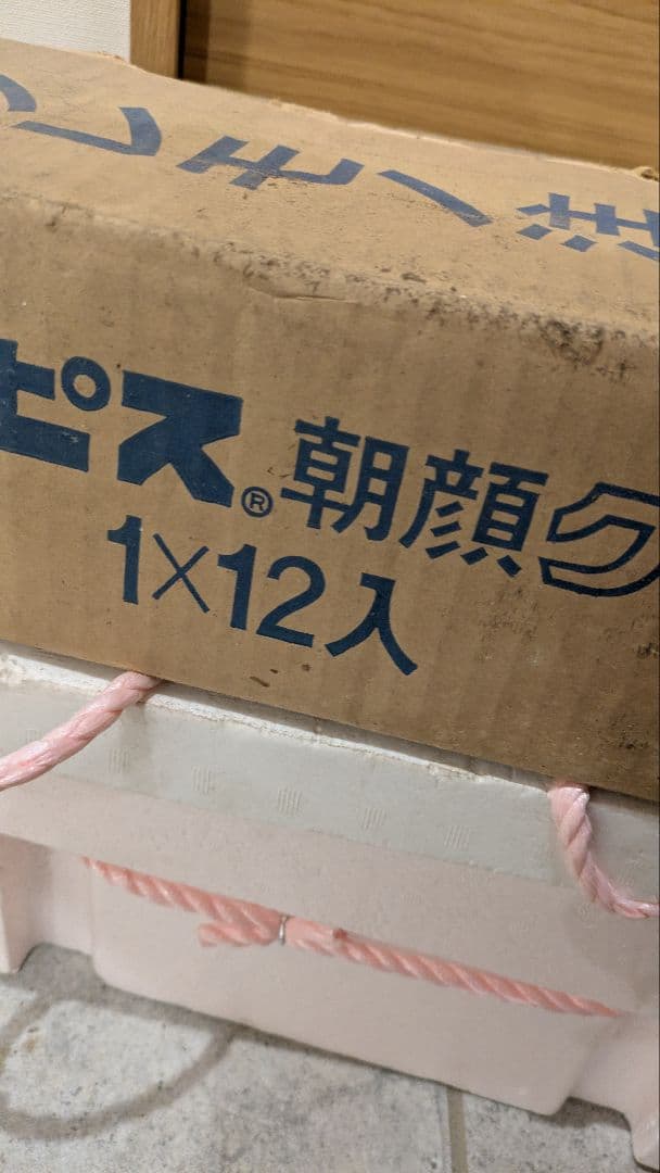 【送料無料】12個セット 未使用品 当時物 カルピス 朝顔グラス 昭和レトロ