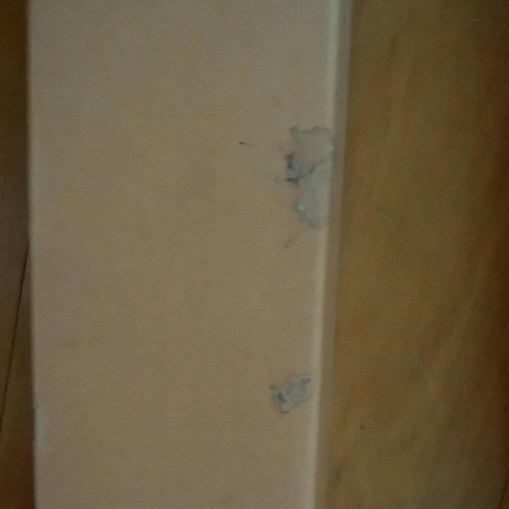 寿　掛軸　福本積應　宝林寺　平安堂表装