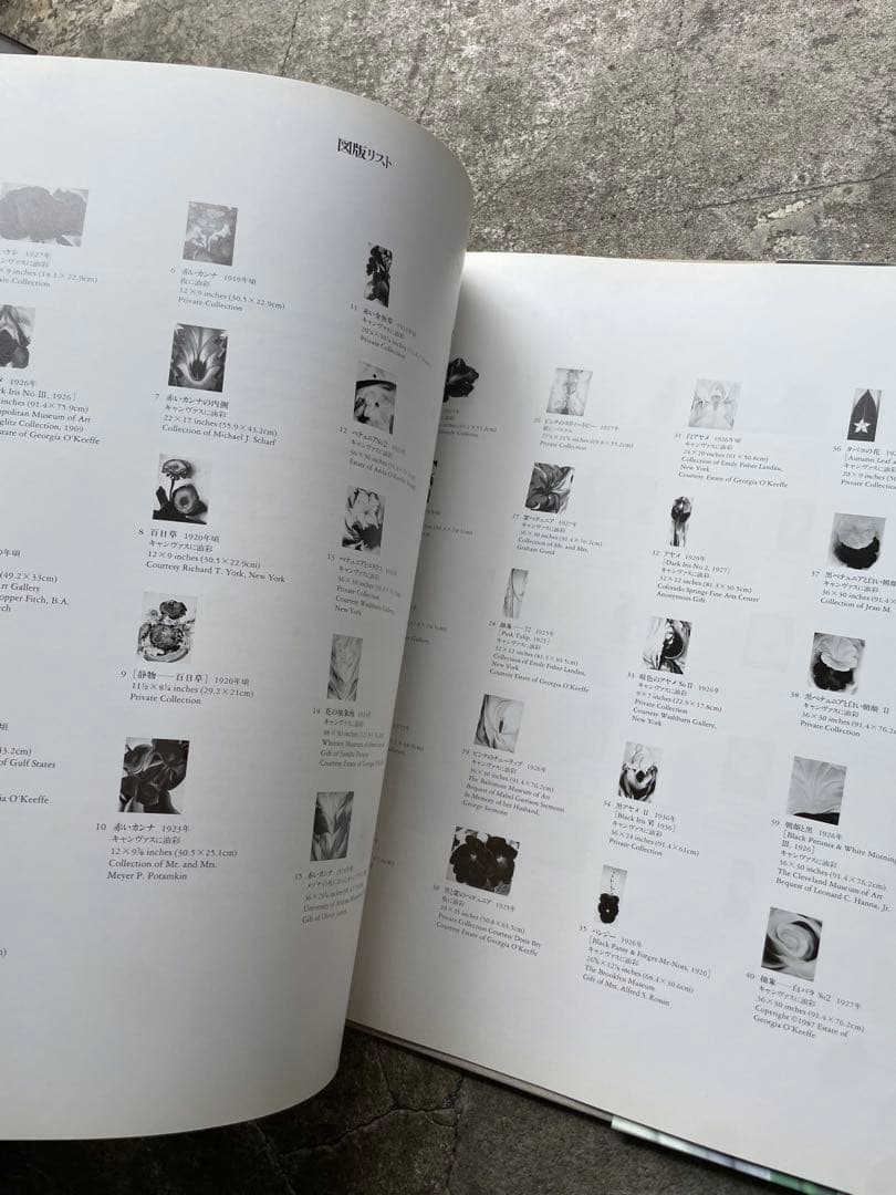 大型本　オキーフ画集 「花」　100頁　ニコラス・キャラウェイ/編・著