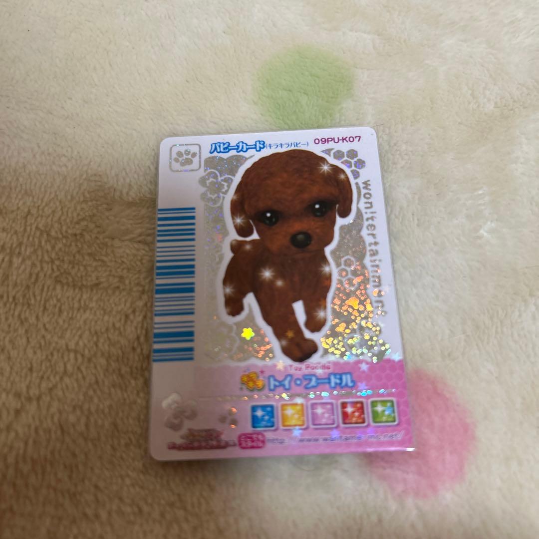 ワンタメ　カード　m＊プロフ必読様確認用