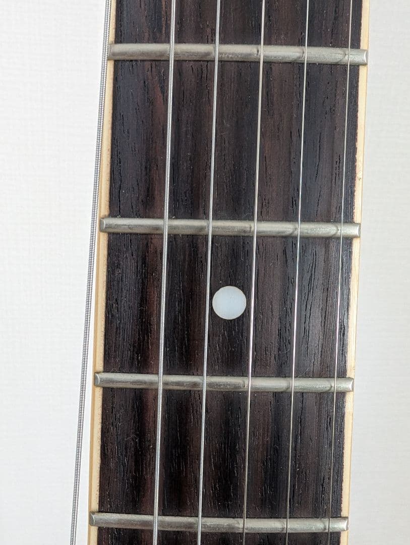 Epiphone Wildkat エピフォン　ワイルドキャット　ビグスビ―付