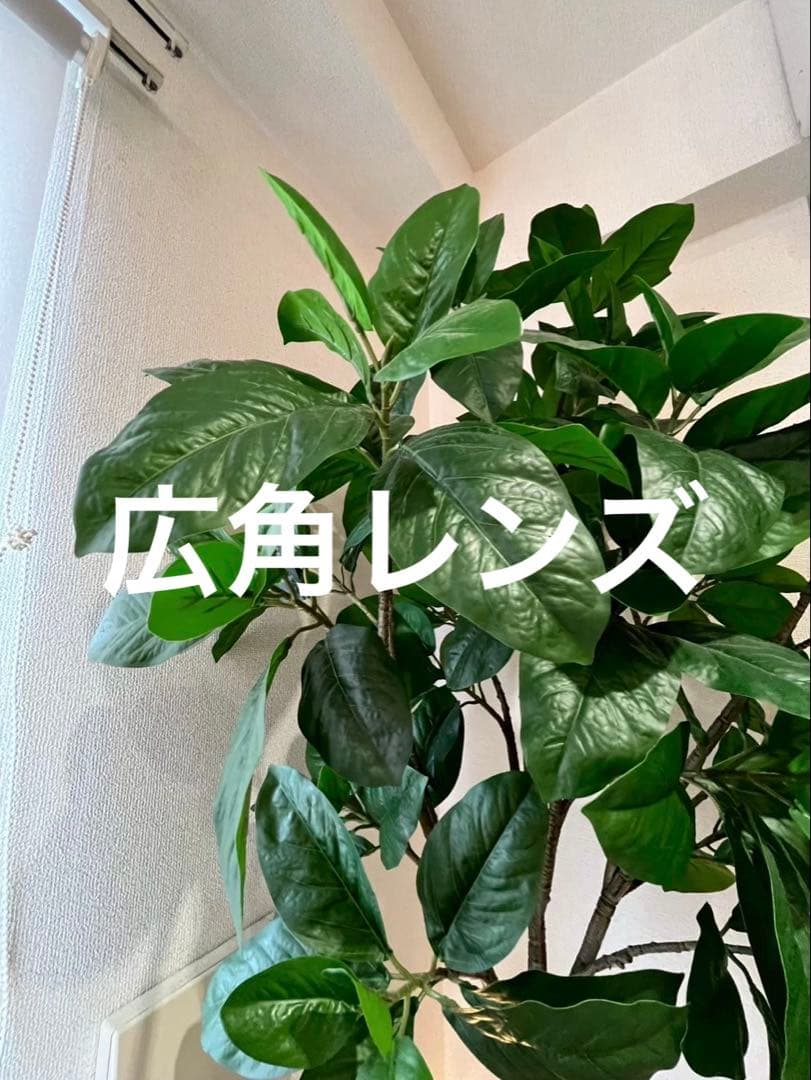 『新品バッテリー』iPhone 13 mini 128GB グリーン　本体