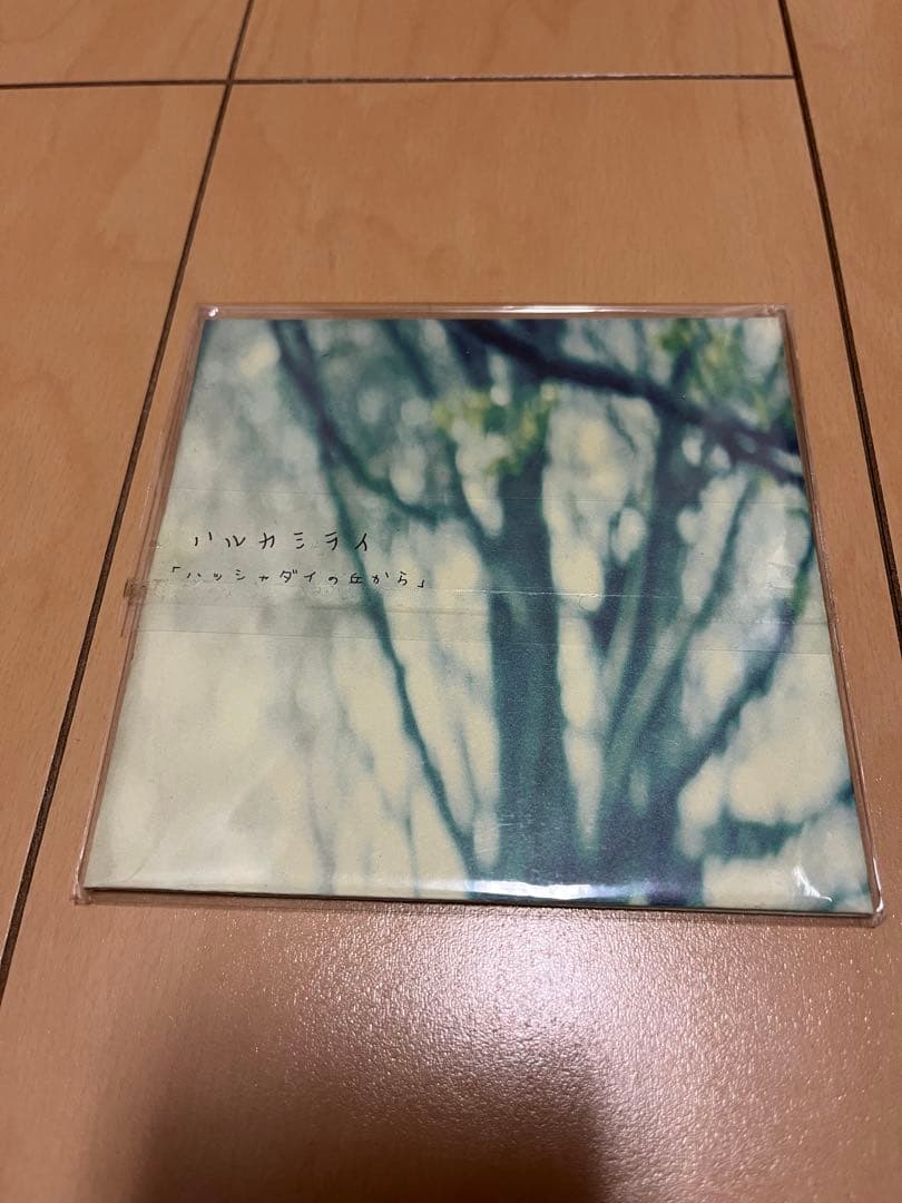 koooの古着さん専用ハルカミライ21世紀/アストロビスタ/ハッシャダイの丘から