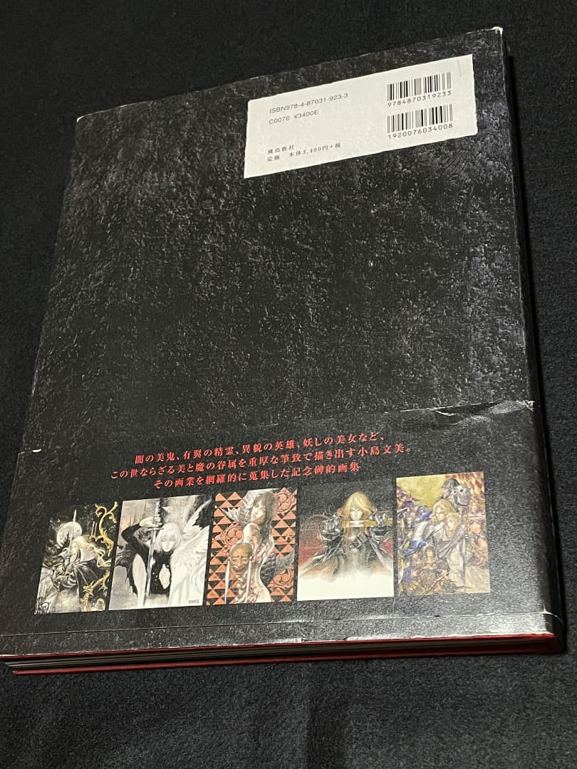 小島文美 画集 Santa Lilio Sangre 緋いユリ