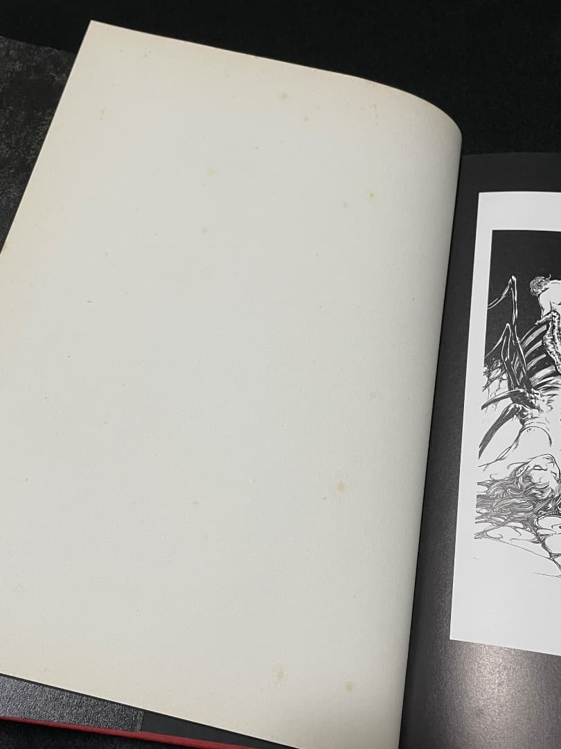 小島文美 画集 Santa Lilio Sangre 緋いユリ