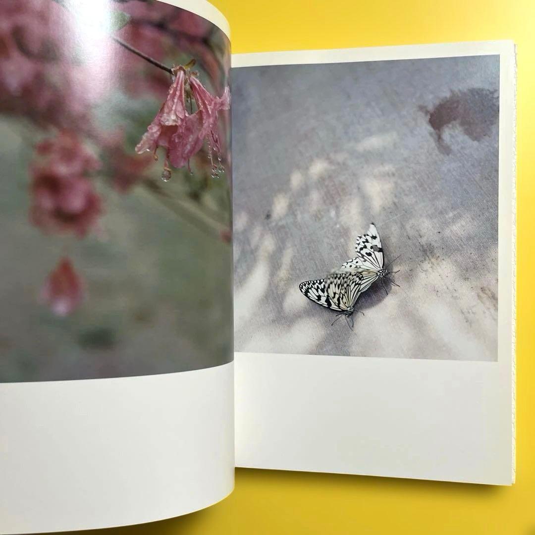 【初版】川内倫子 Rinko Kawauchi 写真集 AILA, アイーラ