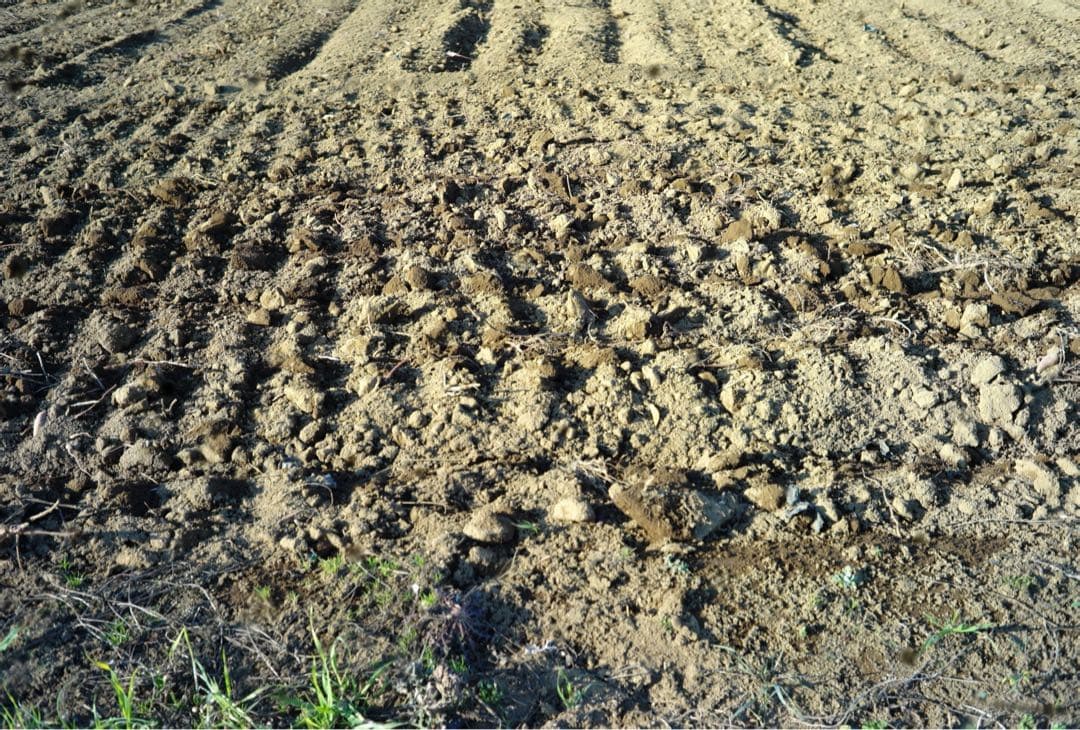 T*a様 Leica M9 本体 ライカ レンジファインダーカメラ ブラック 動