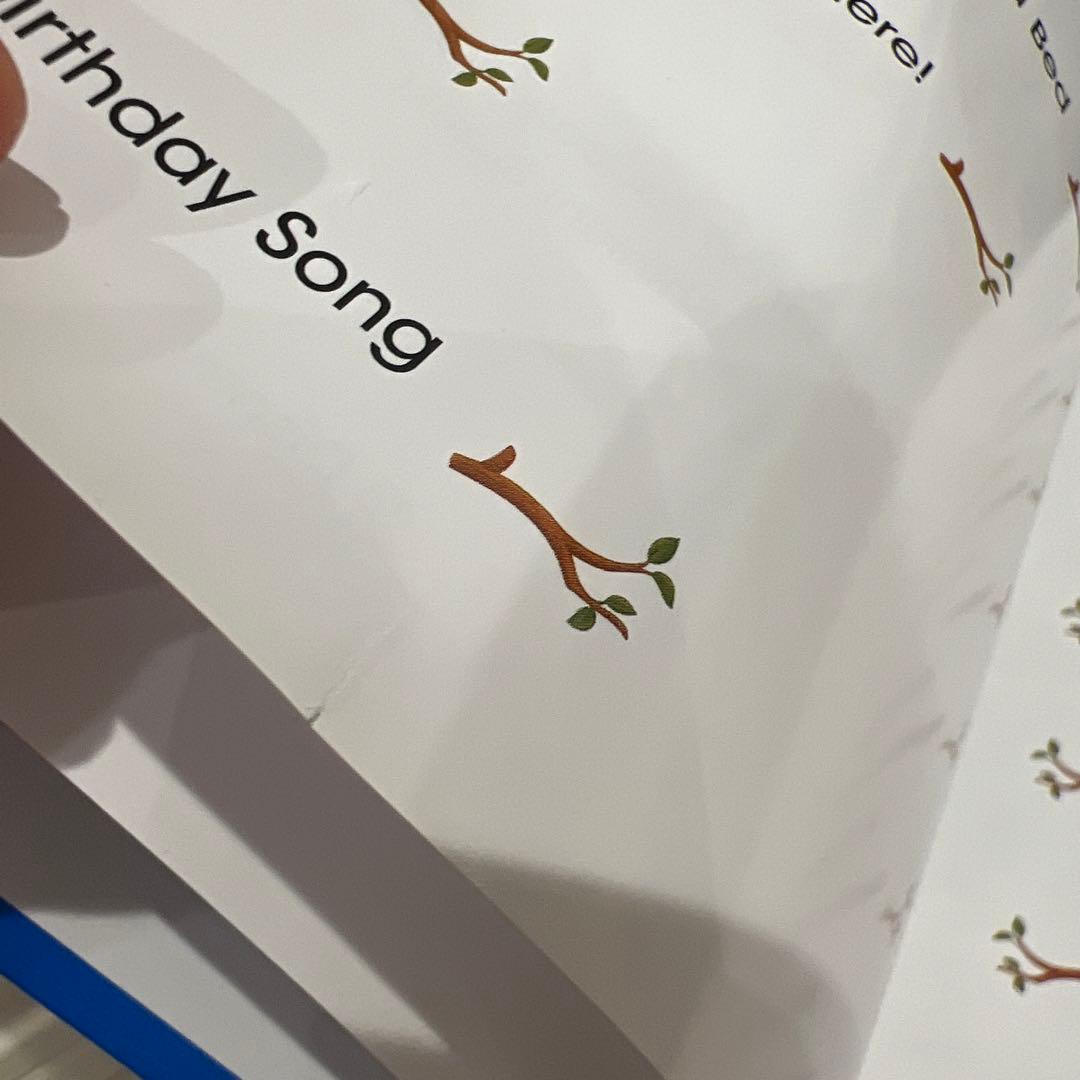 DWE Sing Along! シングアロングセット