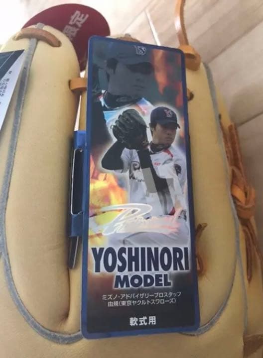 ミズノ プロフェッショナル 東京ヤクルトスワローズ 由規モデル 左 サウスポー