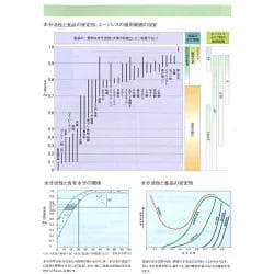 100P×10袋セット 脱酸素剤 エージレス Z-100PKC 低水分用