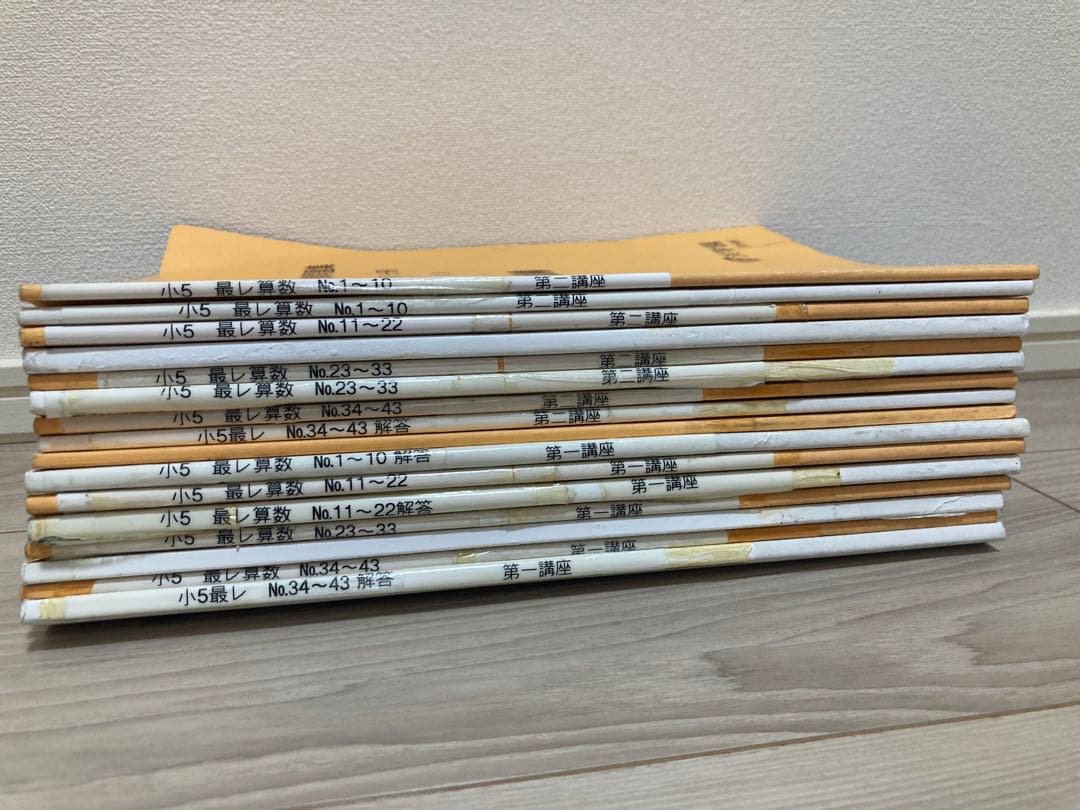 浜学園　小5 算数 最高レベル特訓&難問解説集
