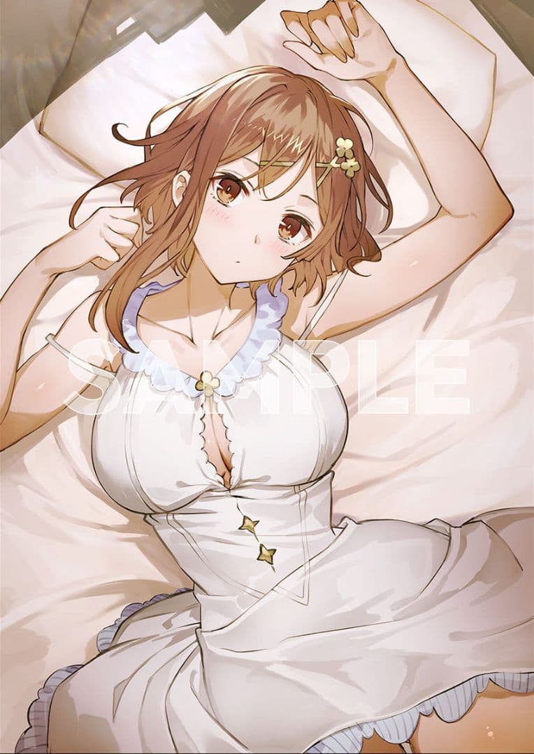 Switch用ソフト　ライザのアトリエ　スペシャルコレクションボックスセット