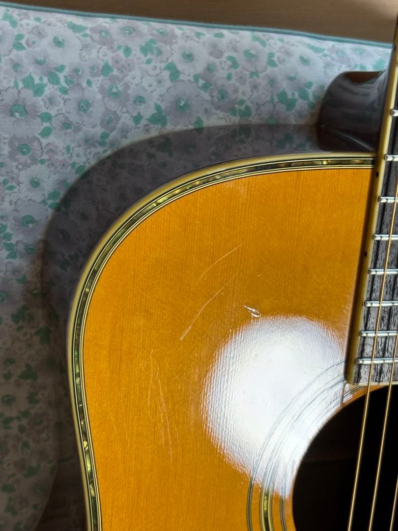 後期型！Morris モーリス　TF W-50 バックハカランダ3p