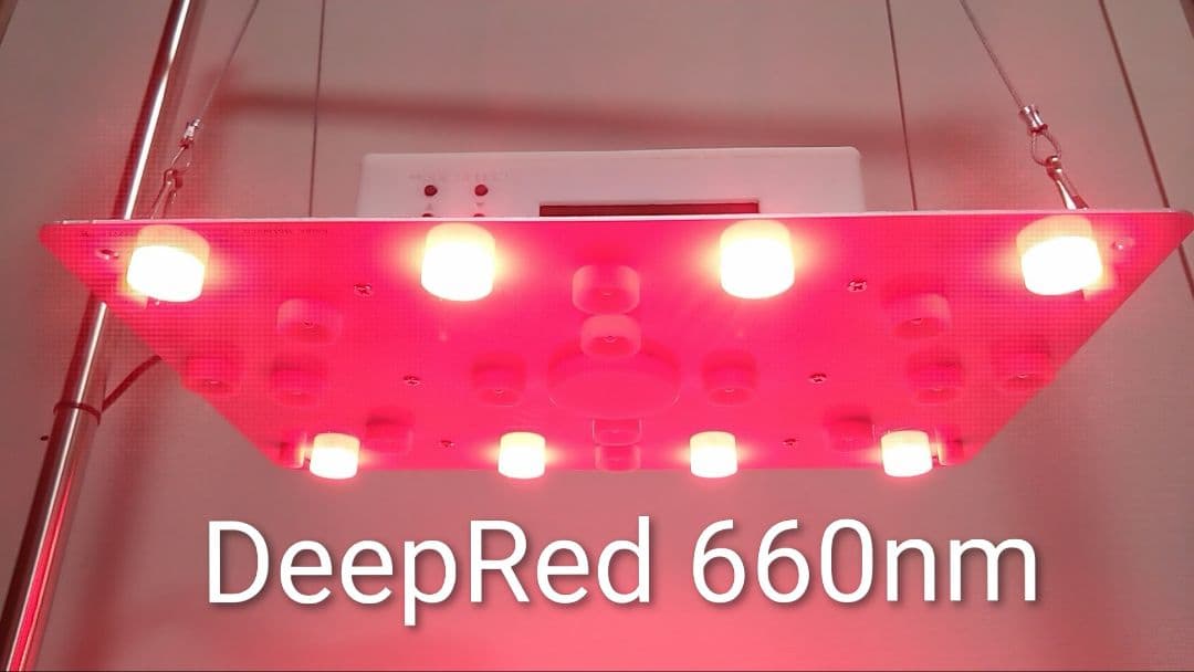 【L7B】多肉&塊根育成　水槽照明　タイマー付LEDライト（DC専用）