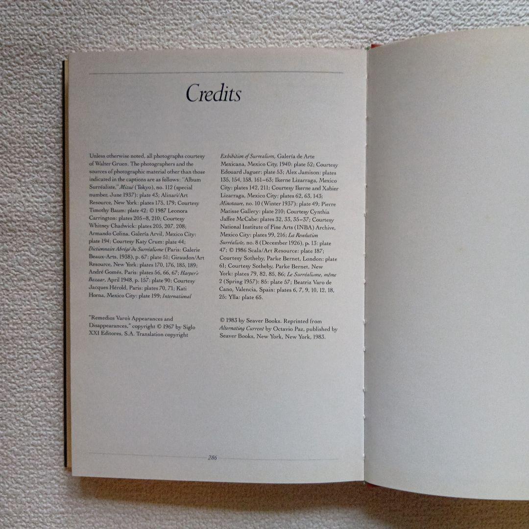 Remedios Varo　レメディオス・バロ : Unexpected‥