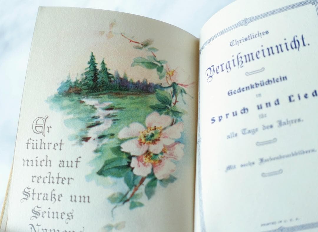 ドイツ 古書 アンティーク クリスチャン 勿忘草のメモリアルブック 洋書