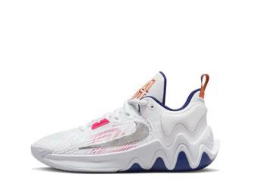 NIKE Giannis Immortality 2 24.5cm 新品未使用