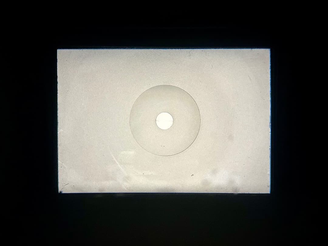 NIKON F アイレベル ブラック 後期 + H Auto 50mm F2